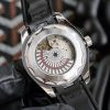 OMEGA Seahorse Earth Series 6765